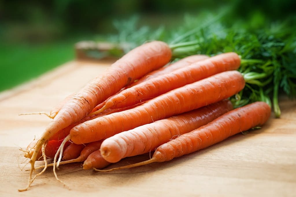 Benefits of eating Carrots in the morning