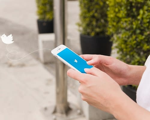 Twitter Starts Removing Blue Ticks: What will it Cost Users to ‘Verify’ Now